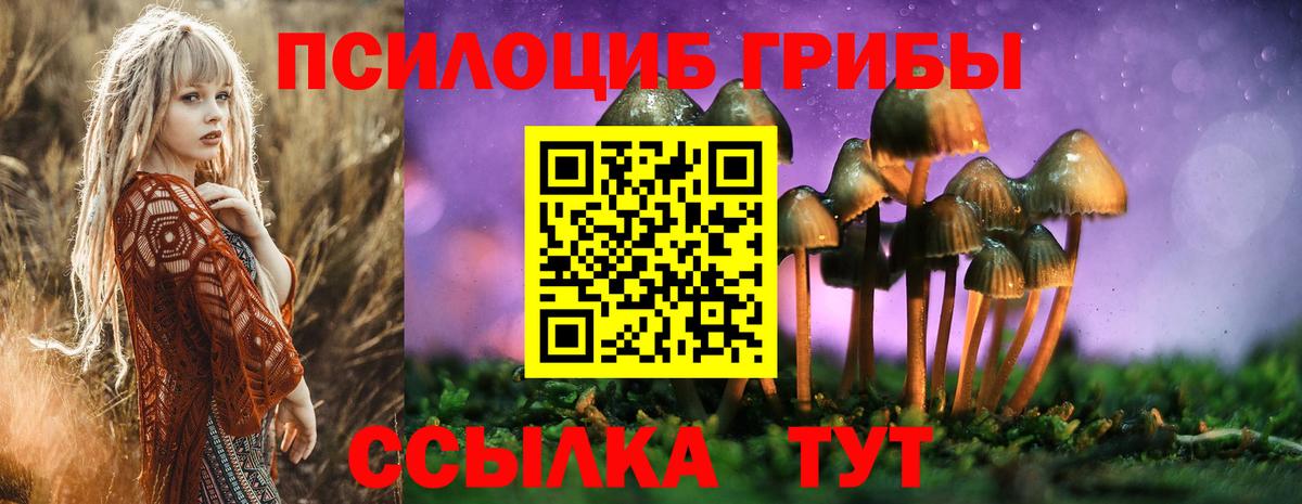 Псилоцибиновые грибы GOLDEN TEACHER  Псилоцибиновые грибы Magic Shrooms  купить наркоту  Вход с VPN  Гагарин 
