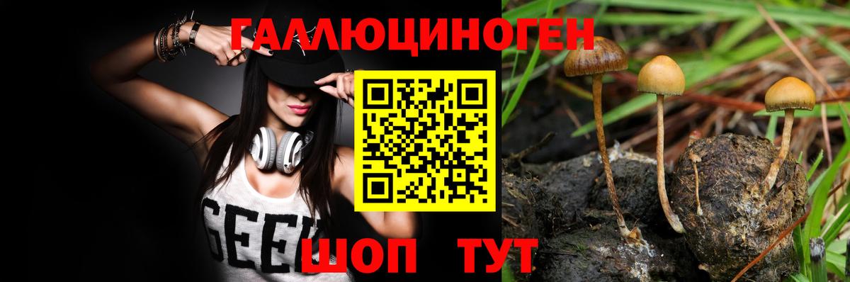 Псилоцибиновые грибы мицелий Гагарин